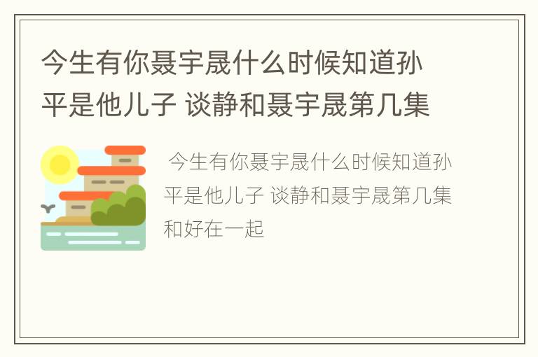 今生有你聂宇晟什么时候知道孙平是他儿子 谈静和聂宇晟第几集和好在一起