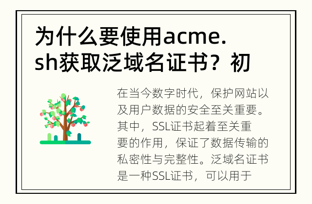 为什么要使用acme.sh获取泛域名证书？ 初学者指南：使用acme.sh获取泛域名证书的方法