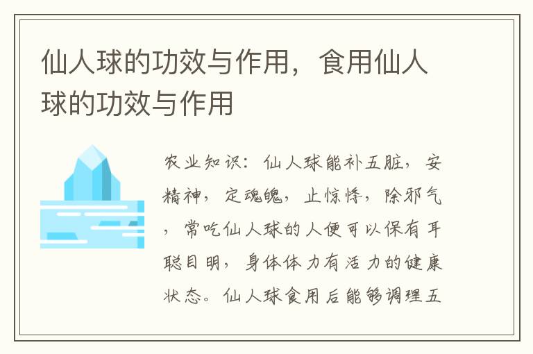 仙人球的功效与作用，食用仙人球的功效与作用