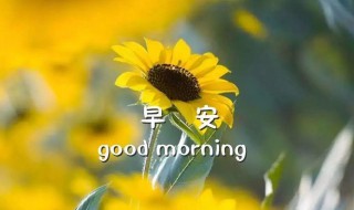 一天好心情早安语录 关于一天好心情的早安语录