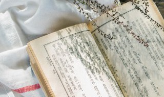 十二年故人戏讲的什么 十二年故人戏简介