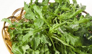 荠菜是发物吗 荠菜属不属于发物