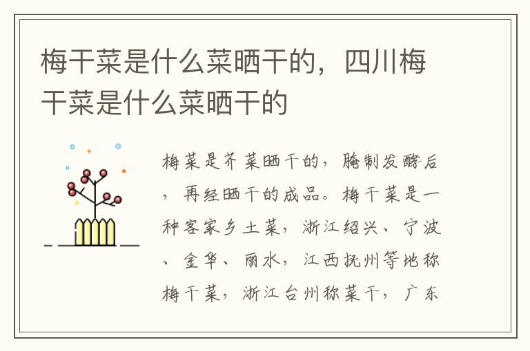 梅干菜是什么菜晒干的，四川梅干菜是什么菜晒干的
