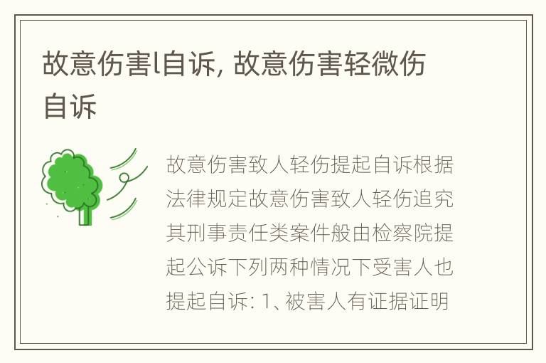 故意伤害l自诉，故意伤害轻微伤自诉