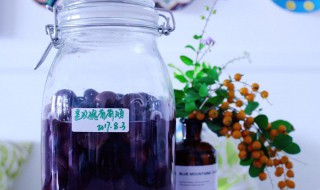 葡萄酵素的做法步骤 葡萄酵素怎么做