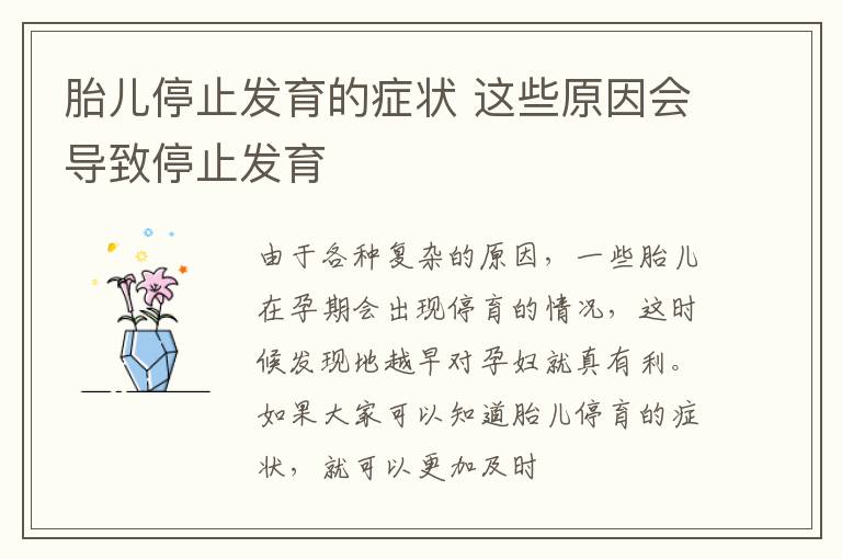 胎儿停止发育的症状 这些原因会导致停止发育