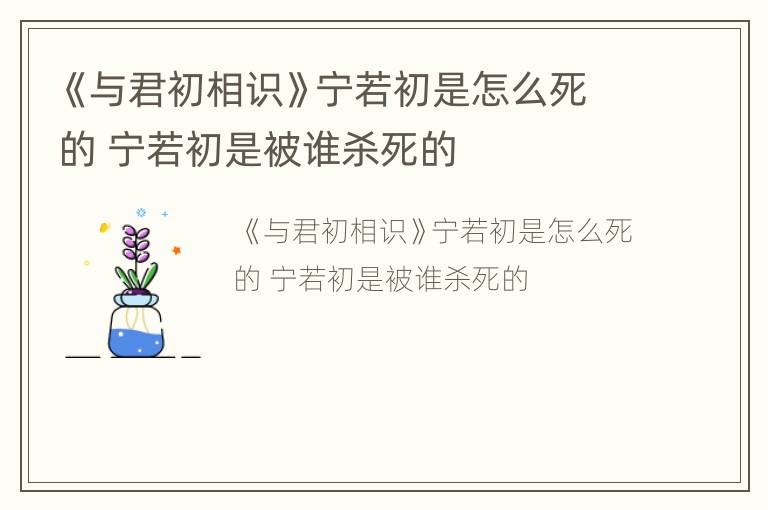 《与君初相识》宁若初是怎么死的 宁若初是被谁杀死的