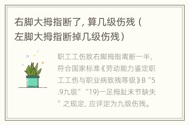 右脚大拇指断了，算几级伤残（左脚大拇指断掉几级伤残）