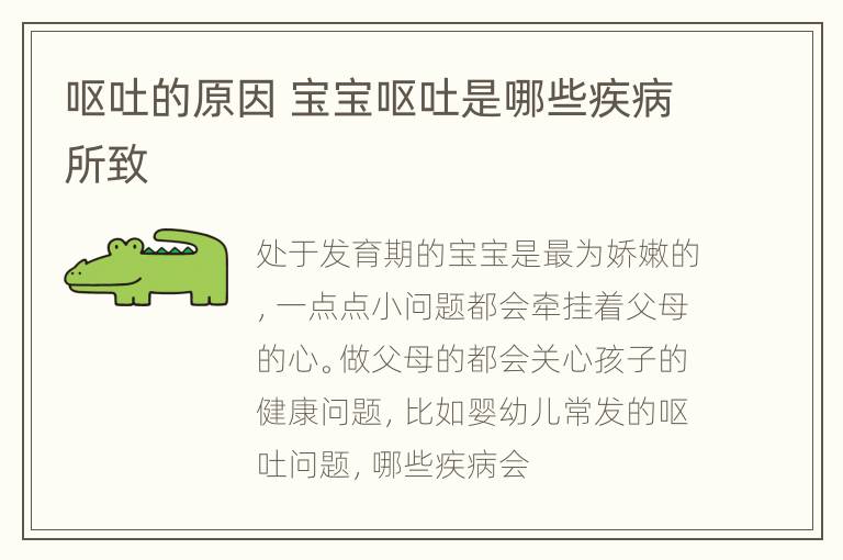 呕吐的原因 宝宝呕吐是哪些疾病所致