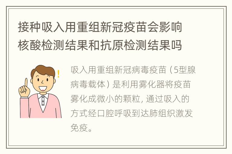 接种吸入用重组新冠疫苗会影响核酸检测结果和抗原检测结果吗