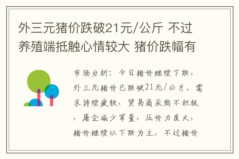 外三元猪价跌破21元/公斤 不过养殖端抵触心情较大 猪价跌幅有所收