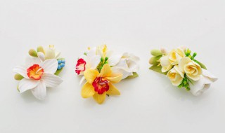 白色胸花代表什么 胸花的简介