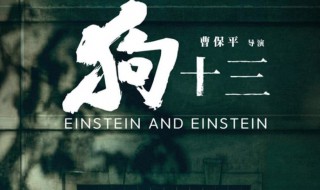 狗十三故事简介 狗十三故事简介是什么