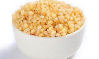 高粱米水饭的功效与作用 高粱米水饭的功效与作用介绍