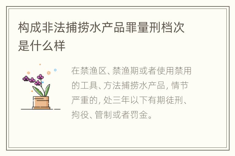 构成非法捕捞水产品罪量刑档次是什么样