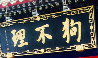 狗不理和狗有关吗 狗不理是怎么来的