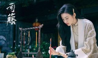 司藤里瓦房怎么死的 司藤介绍