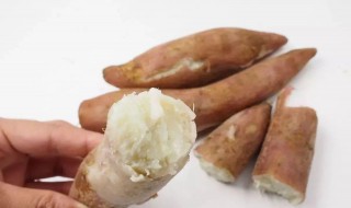 豆薯的营养价值 豆薯营养价值高吗