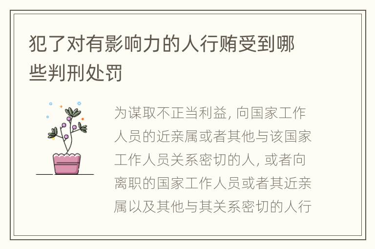 犯了对有影响力的人行贿受到哪些判刑处罚