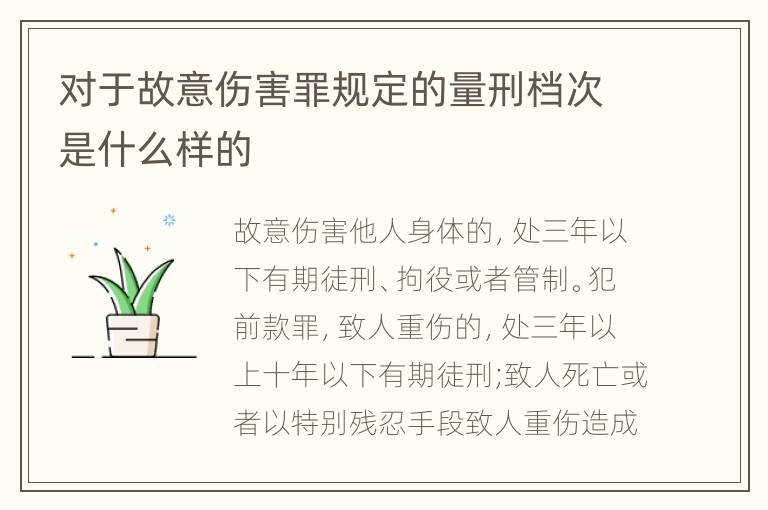 对于故意伤害罪规定的量刑档次是什么样的