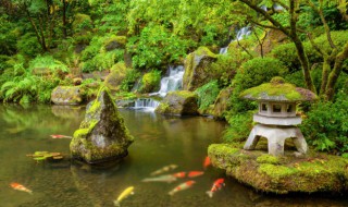 描写花园景色的句子 描写花园景色的句子精选