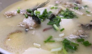 黑鱼汤的功效与作用及食用方法 黑鱼汤的功效与作用及食用方法有哪些