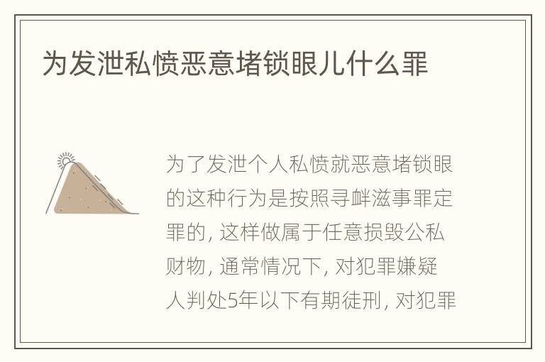 为发泄私愤恶意堵锁眼儿什么罪