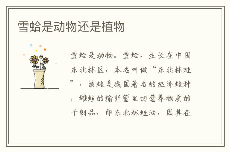 雪蛤是动物还是植物