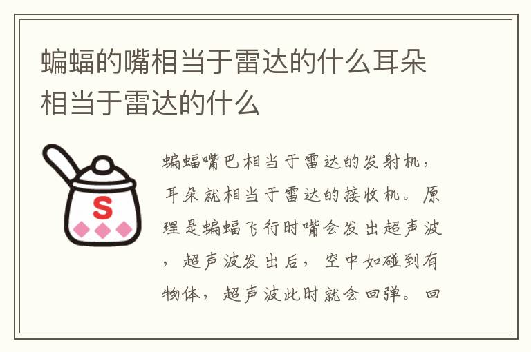 蝙蝠的嘴相当于雷达的什么耳朵相当于雷达的什么