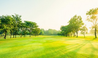 凉风有信风月无边是什么意思 凉风有信风月无边的意思