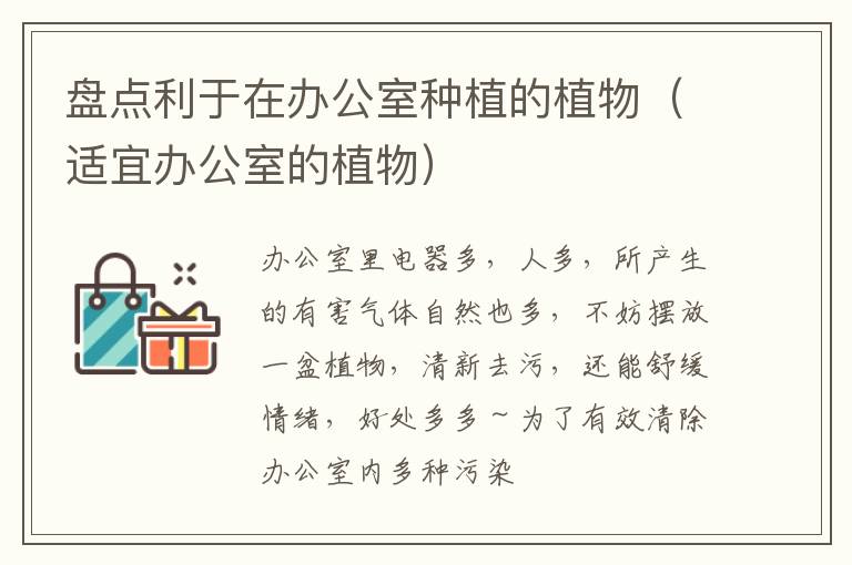 盘点利于在办公室种植的植物（适宜办公室的植物）