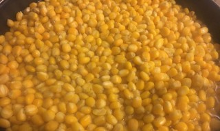 最快的玉米钓鱼泡制方法 最快的玉米钓鱼泡制方法是什么