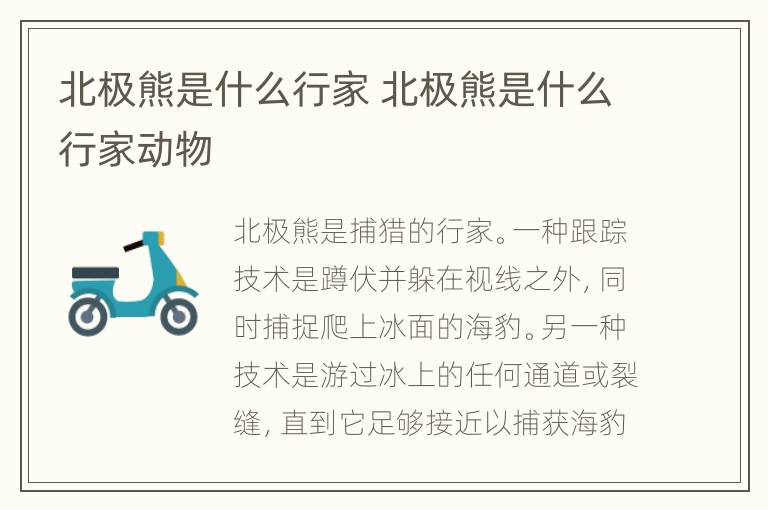 北极熊是什么行家 北极熊是什么行家动物