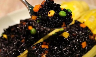 每天吃黑米饭当主食好吗 每天吃黑米饭当主食好不好