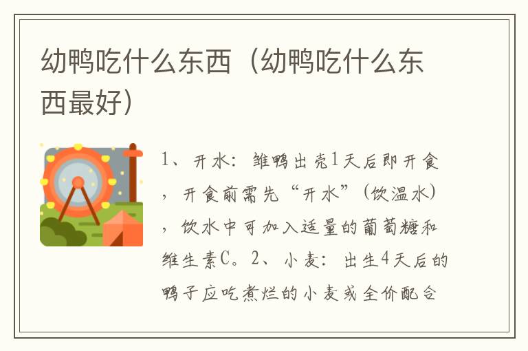 幼鸭吃什么东西（幼鸭吃什么东西最好）