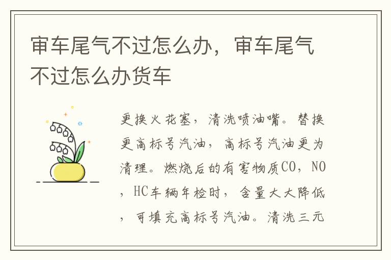 审车尾气不过怎么办，审车尾气不过怎么办货车