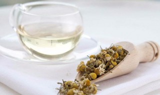 喝洋甘菊花茶有哪些好处 喝洋甘菊花茶好处是什么