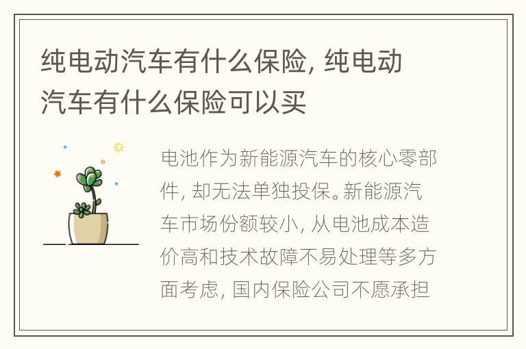 纯电动汽车有什么保险，纯电动汽车有什么保险可以买