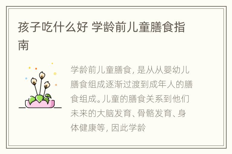 孩子吃什么好 学龄前儿童膳食指南