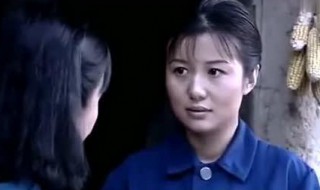 水娥是哪个电视剧 电视剧绝恋介绍