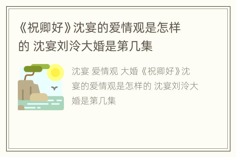 《祝卿好》沈宴的爱情观是怎样的 沈宴刘泠大婚是第几集