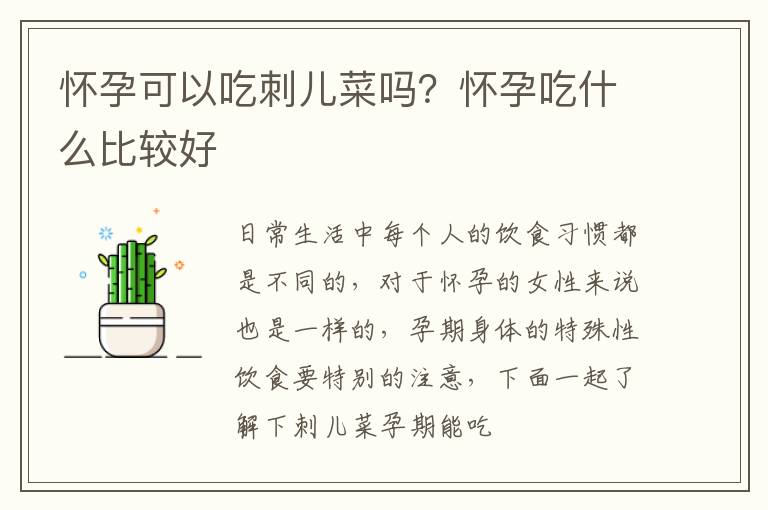 怀孕可以吃刺儿菜吗？怀孕吃什么比较好