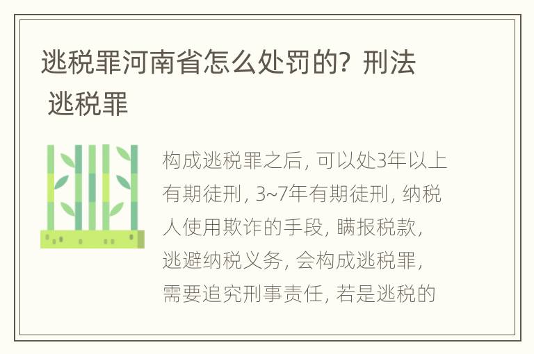 逃税罪河南省怎么处罚的？ 刑法 逃税罪