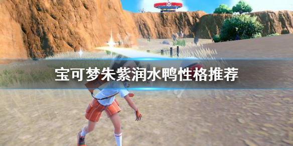 宝可梦朱紫润水鸭性格选择什么-宝可梦朱紫润水鸭性格推荐
