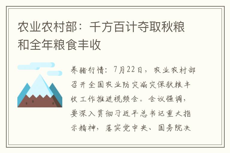 农业农村部：千方百计夺取秋粮和全年粮食丰收