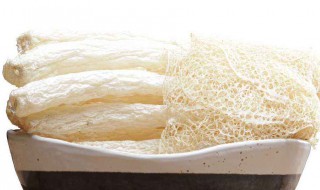 竹荪怎么处理才没有怪味 如何处理竹荪才没有怪味