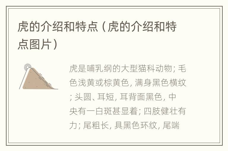 虎的介绍和特点（虎的介绍和特点图片）