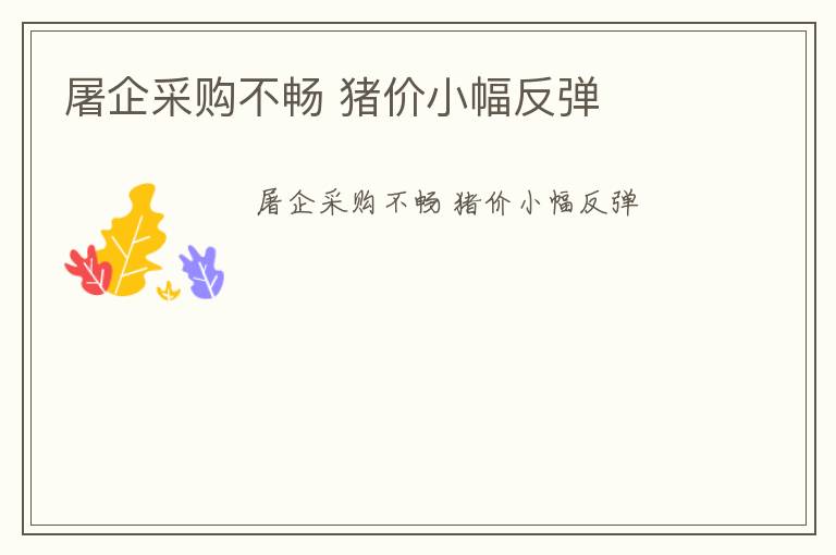 屠企采购不畅 猪价小幅反弹