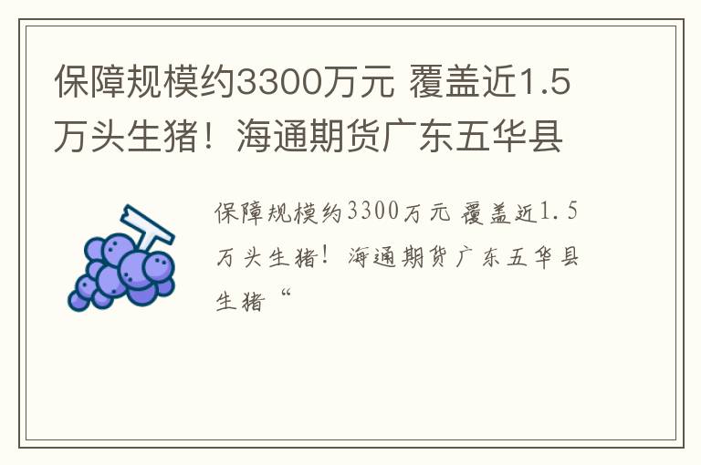 保障规模约3300万元 覆盖近1.5万头生猪！海通期货广东五华县生猪“