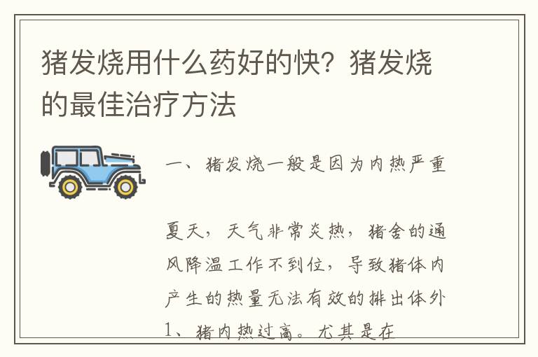 猪发烧用什么药好的快？猪发烧的最佳治疗方法